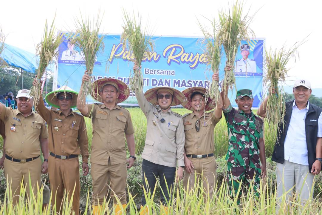 Blog Single